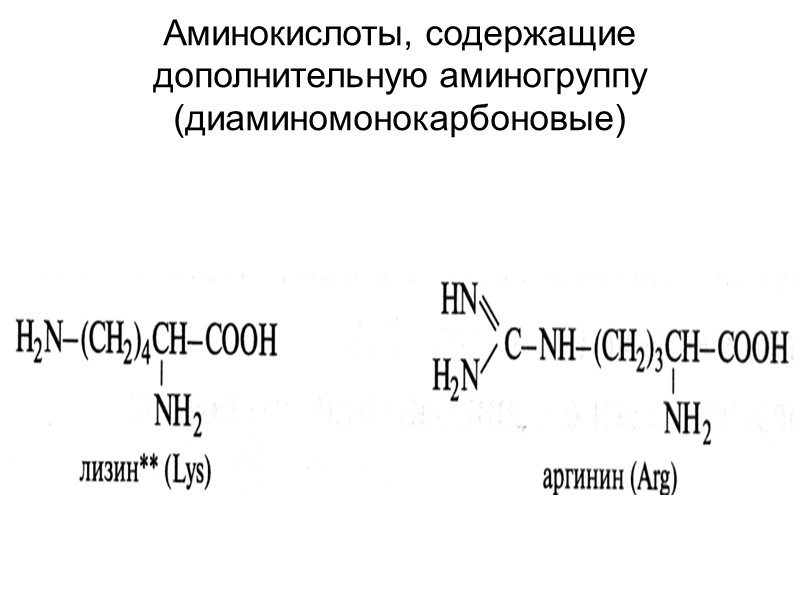 Аминокислоты, содержащие дополнительную аминогруппу (диаминомонокарбоновые)